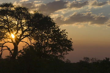 Image showing African sunset