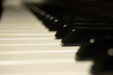 Image showing Piano Key