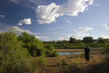 Image showing Walking safari