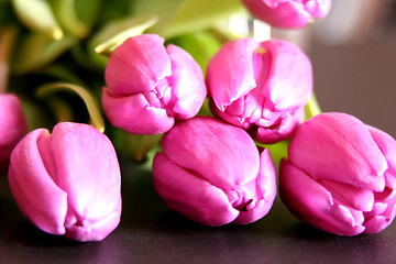 Image showing Tulips