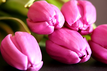 Image showing Tulips