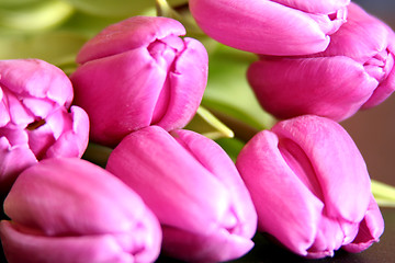 Image showing Tulips