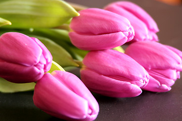 Image showing Tulips