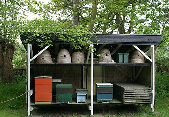 Image showing Bee-hives