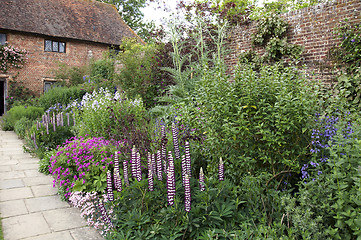 Image showing Cottage garden