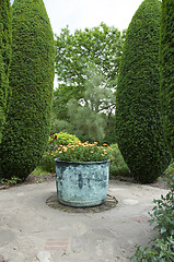 Image showing Garden