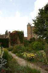 Image showing Garden border