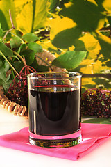 Image showing Elderberry juice