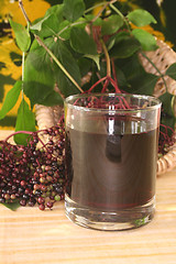 Image showing Elderberry juice