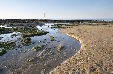 Image showing Coastline