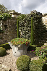 Image showing Wall garden