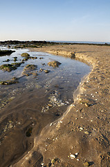 Image showing Beach