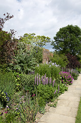 Image showing Garden border