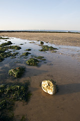 Image showing Beach