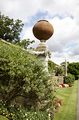 Image showing Wall garden