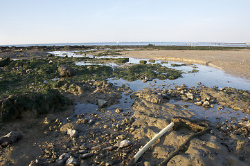 Image showing Beach