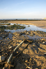 Image showing Beach