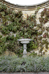 Image showing Stone bird-bath