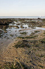 Image showing Coastline