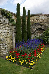 Image showing Wall garden