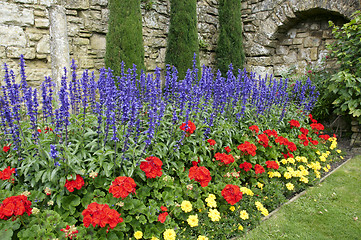 Image showing Wall garden