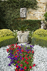 Image showing Wall garden