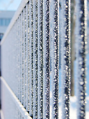 Image showing Frost on fence