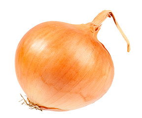 Image showing Single a orange fresh onion