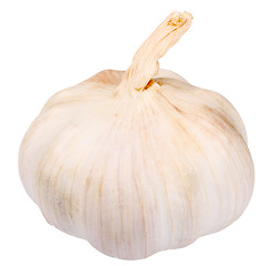 Image showing Single white garlic