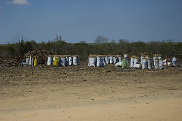 Image showing Firewood for sale