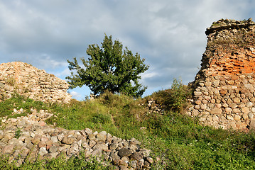 Image showing Old stones