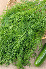 Image showing Dill