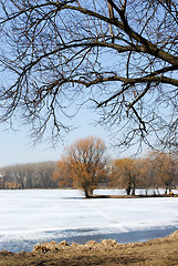 Image showing Spring on the lake.