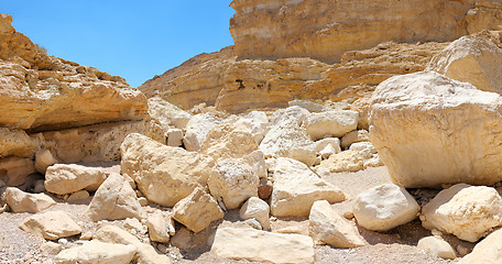 Image showing White stones Makhtesh Ramon