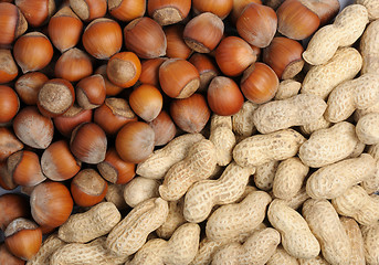 Image showing Walnuts and peanuts