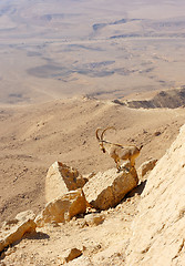 Image showing Makhtesh Ramon