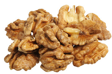 Image showing walnut (Juglans regia)