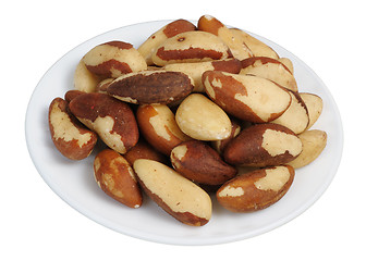 Image showing Brazil Nut (Bertholletia excelsa)