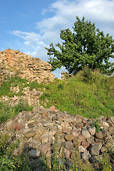Image showing Old stones
