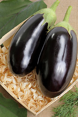 Image showing Eggplants.