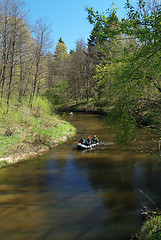 Image showing River in the forest