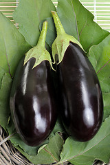 Image showing Eggplants.