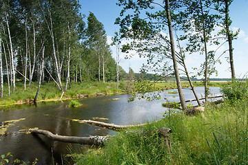 Image showing Lake in the forest