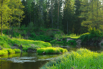 Image showing River in the forest