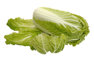 Image showing Beijing cabbage, isolated