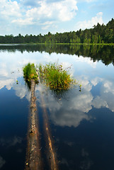 Image showing Lake in the forest
