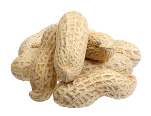 Image showing Peanuts