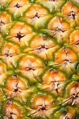 Image showing Pineapple  Abstract