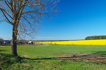 Image showing Spring in the country