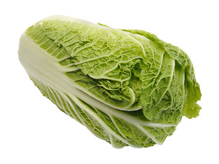 Image showing Beijing cabbage, isolated